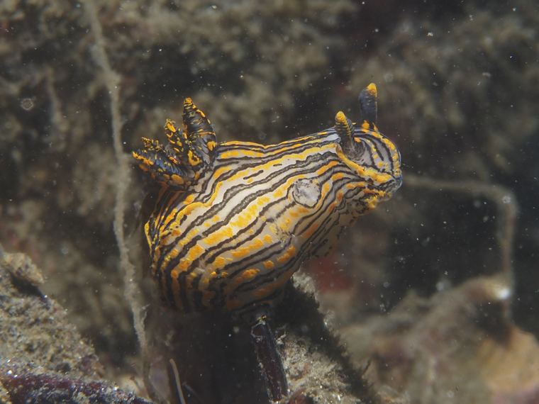 Breakwater Cove, Monterey