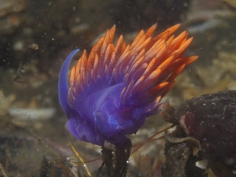 Breakwater Cove, Monterey