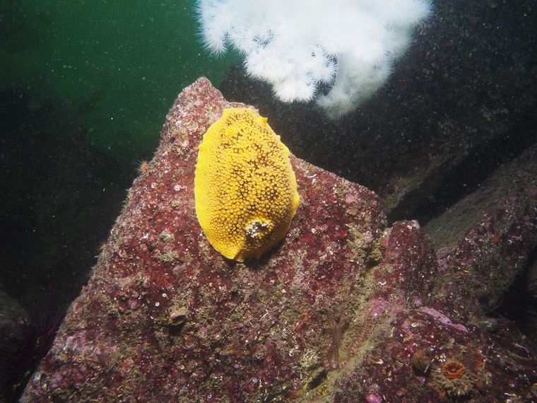 Breakwater Cove, Monterey