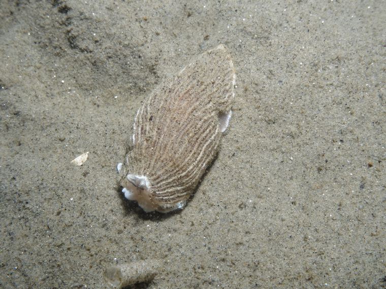 Breakwater Cove, Monterey