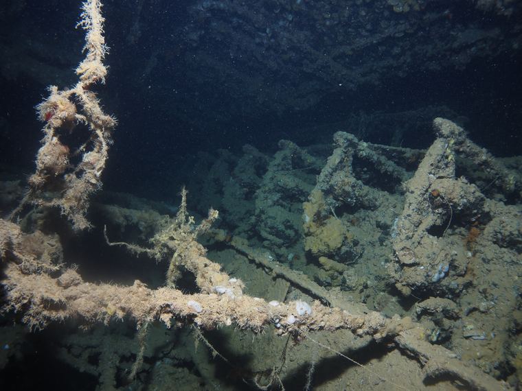 Eagle & Spiegel Grove Wrecks