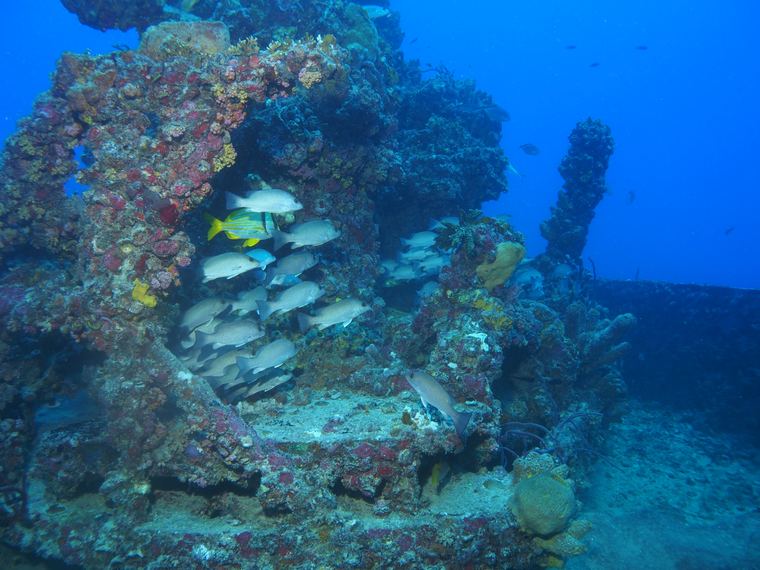 Eagle & Spiegel Grove Wrecks